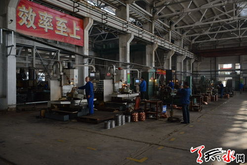 王軍調研天水岷山廠片區規劃建設情況