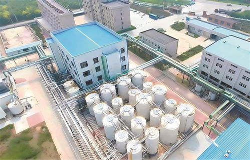 高青 以工業(yè)技改驅(qū)動(dòng)引擎，加速企業(yè)轉(zhuǎn)型升級(jí)與高質(zhì)量發(fā)展