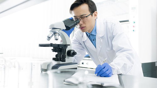 玩具檢測(cè)認(rèn)證 構(gòu)筑安全防線，驅(qū)動(dòng)行業(yè)高質(zhì)量發(fā)展