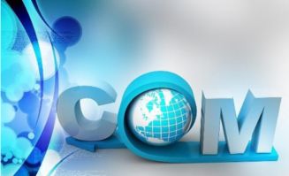 引爆新品牌 快速有效的品牌運(yùn)營(yíng)與營(yíng)銷策劃實(shí)戰(zhàn)指南